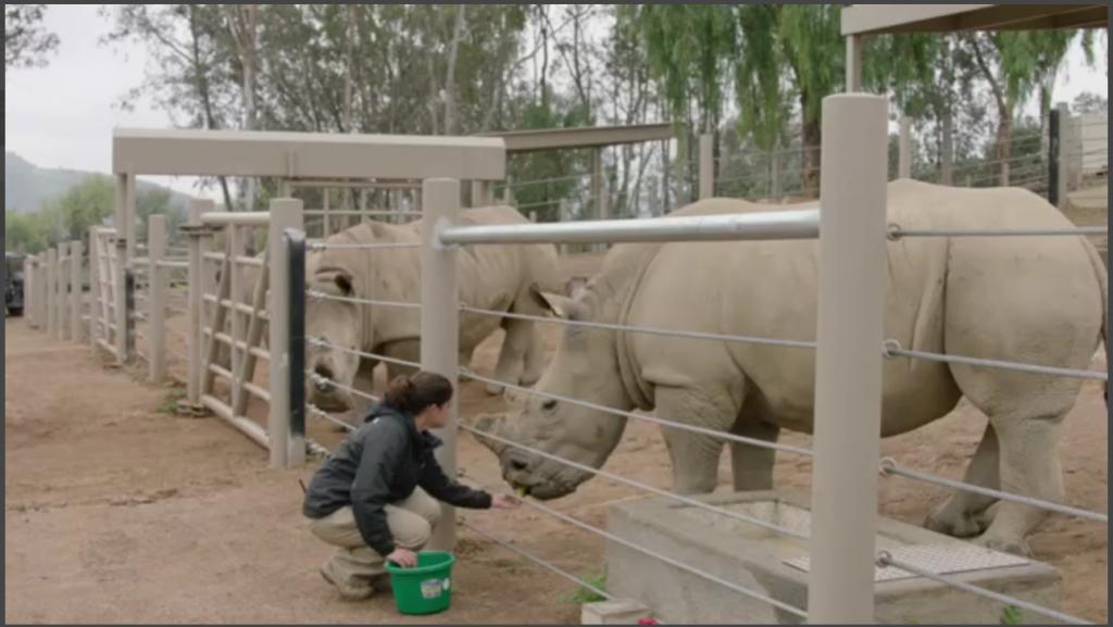Ol Pejeta Holiday Villas 나뉴키 외부 사진
